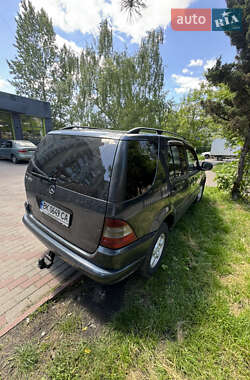 Внедорожник / Кроссовер Mercedes-Benz M-Class 2001 в 