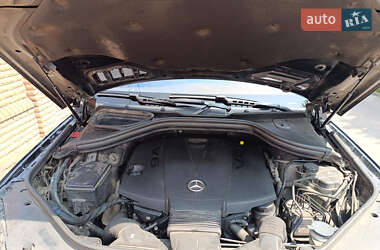 Внедорожник / Кроссовер Mercedes-Benz M-Class 2013 в 