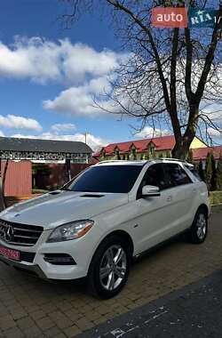 Внедорожник / Кроссовер Mercedes-Benz M-Class 2011 в Виноградове