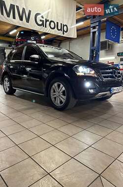 Позашляховик / Кросовер Mercedes-Benz M-Class 2010 в 