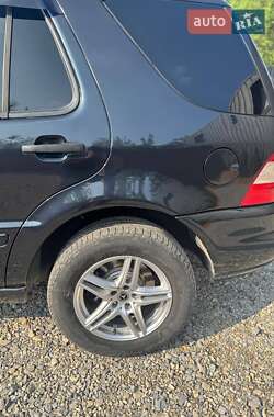 Внедорожник / Кроссовер Mercedes-Benz M-Class 2002 в 