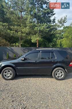 Внедорожник / Кроссовер Mercedes-Benz M-Class 2002 в 