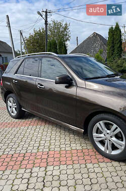 Внедорожник / Кроссовер Mercedes-Benz M-Class 2014 в 