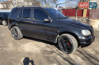 Внедорожник / Кроссовер Mercedes-Benz M-Class 2002 в 