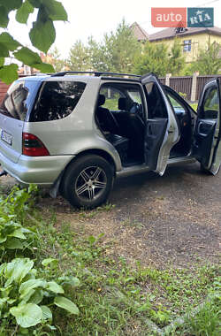 Внедорожник / Кроссовер Mercedes-Benz M-Class 2002 в 