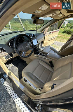 Внедорожник / Кроссовер Mercedes-Benz M-Class 2009 в 