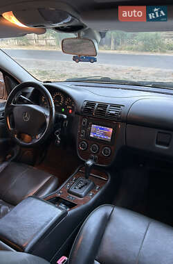 Позашляховик / Кросовер Mercedes-Benz M-Class 2003 в 