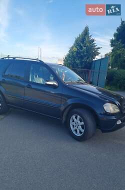 Позашляховик / Кросовер Mercedes-Benz M-Class 2001 в 