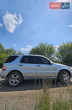 Внедорожник / Кроссовер Mercedes-Benz M-Class 2004 в 