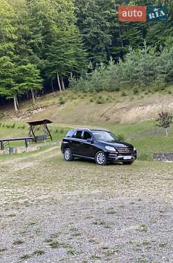 Внедорожник / Кроссовер Mercedes-Benz M-Class 2013 в 