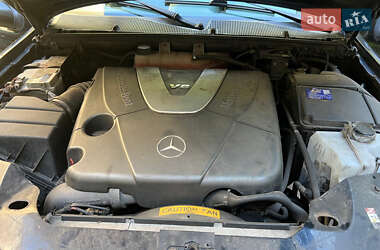 Внедорожник / Кроссовер Mercedes-Benz M-Class 2005 в 