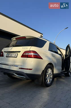 Позашляховик / Кросовер Mercedes-Benz M-Class 2013 в 