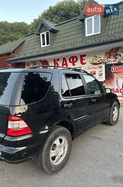 Внедорожник / Кроссовер Mercedes-Benz M-Class 2001 в 