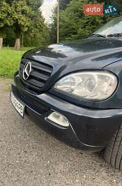 Внедорожник / Кроссовер Mercedes-Benz M-Class 2003 в 