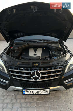 Внедорожник / Кроссовер Mercedes-Benz M-Class 2013 в 