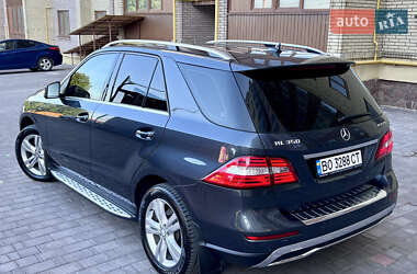 Внедорожник / Кроссовер Mercedes-Benz M-Class 2013 в 