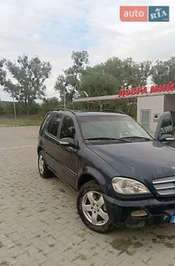 Внедорожник / Кроссовер Mercedes-Benz M-Class 2002 в 