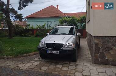 Внедорожник / Кроссовер Mercedes-Benz M-Class 2002 в 