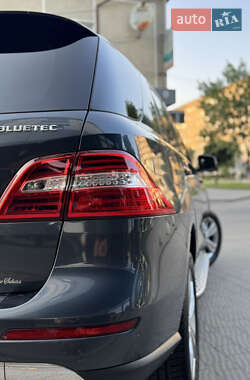 Внедорожник / Кроссовер Mercedes-Benz M-Class 2014 в 