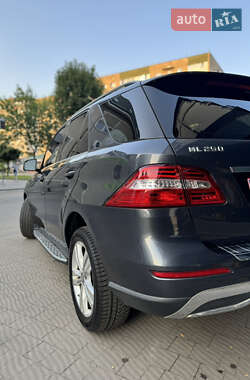 Внедорожник / Кроссовер Mercedes-Benz M-Class 2014 в 