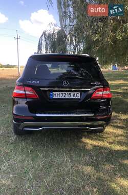 Внедорожник / Кроссовер Mercedes-Benz M-Class 2014 в 