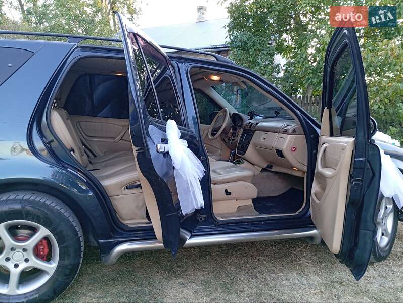 Позашляховик / Кросовер Mercedes-Benz M-Class 2001 в Стрию