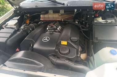 Позашляховик / Кросовер Mercedes-Benz M-Class 2002 в 