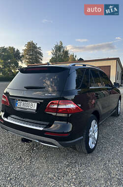 Внедорожник / Кроссовер Mercedes-Benz M-Class 2013 в 