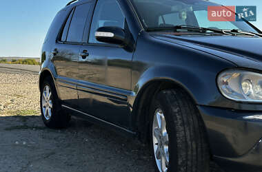 Внедорожник / Кроссовер Mercedes-Benz M-Class 2002 в 