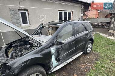 Позашляховик / Кросовер Mercedes-Benz M-Class 2007 в 