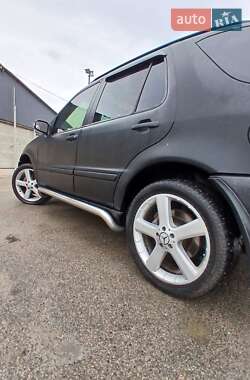 Внедорожник / Кроссовер Mercedes-Benz M-Class 2003 в 