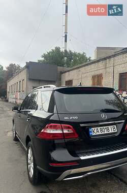 Внедорожник / Кроссовер Mercedes-Benz M-Class 2015 в 