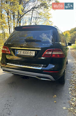Внедорожник / Кроссовер Mercedes-Benz M-Class 2013 в 
