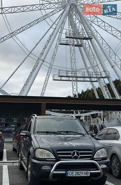 Внедорожник / Кроссовер Mercedes-Benz M-Class 2001 в Черновцах