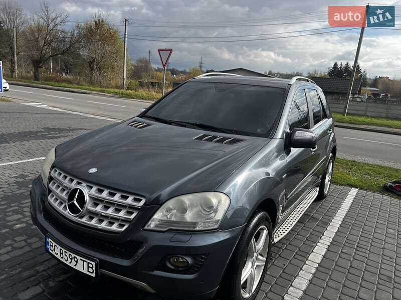 Mercedes-Benz M-Class 2010 Mercedes-Benz M-Class 2010
