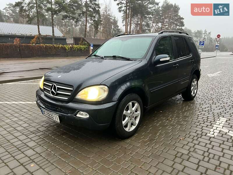 Mercedes-Benz M-Class 2002 Mercedes-Benz M-Class 2002