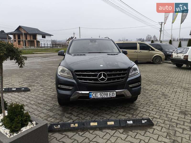 Mercedes-Benz M-Class 2011 Mercedes-Benz M-Class 2011