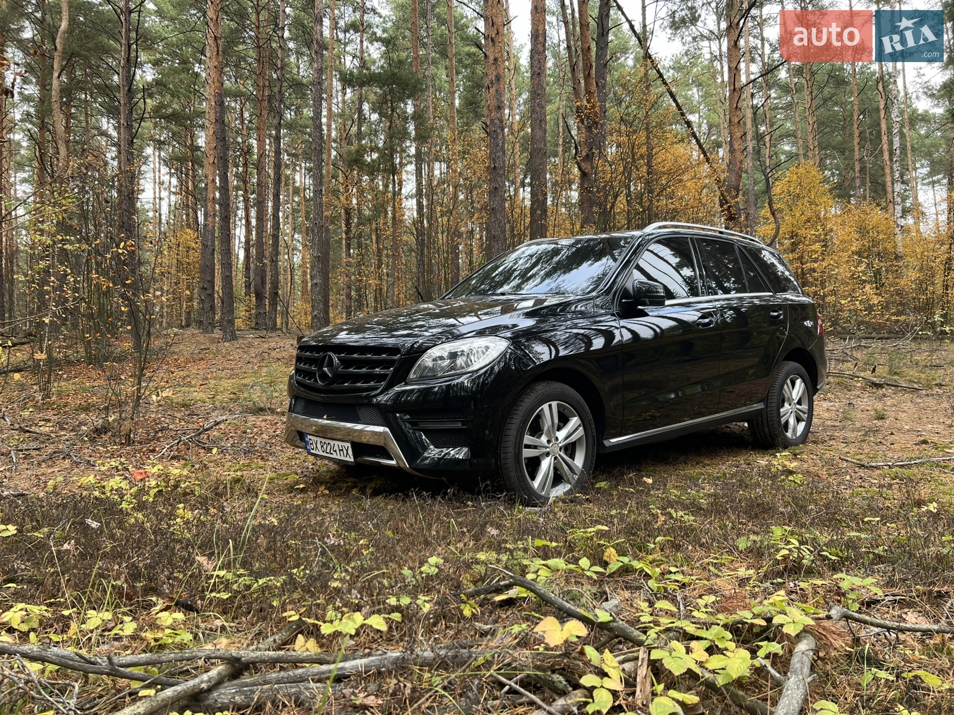 2013 Mercedes-Benz M-klasse - мініатюра 20