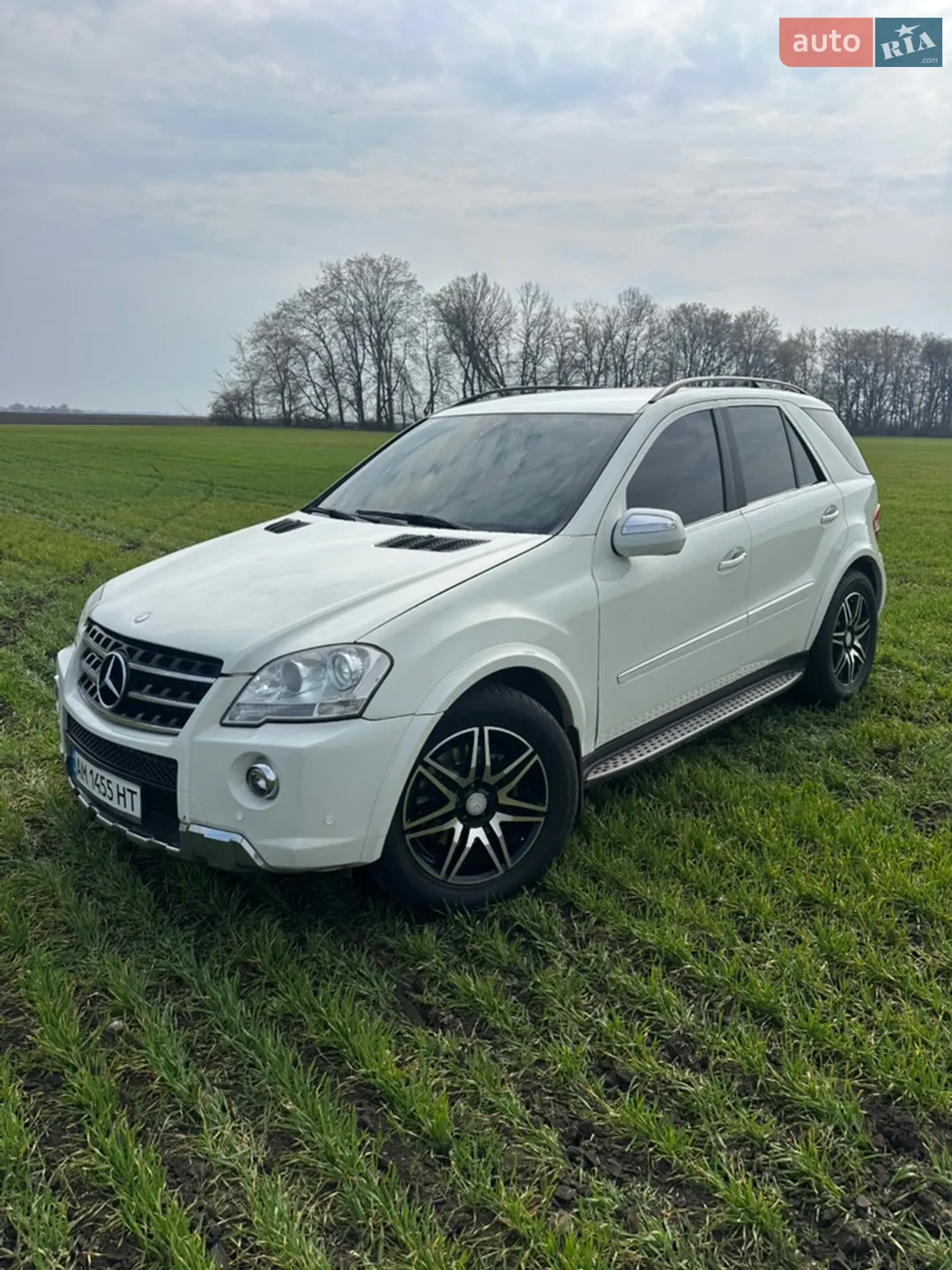 2010 Mercedes-Benz M-klasse - мініатюра 2