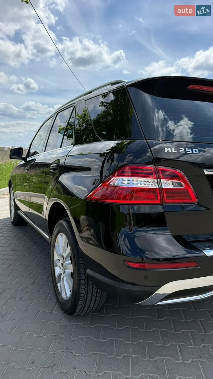 2013 Mercedes-Benz M-klasse - мініатюра 9