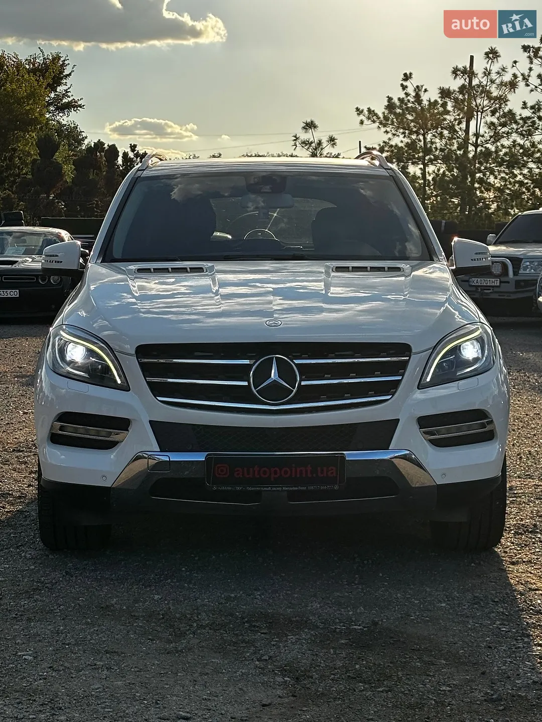 2013 Mercedes-Benz M-klasse - фото 1