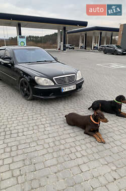 Седан Mercedes-Benz S-Class 2002 в Миколаєві