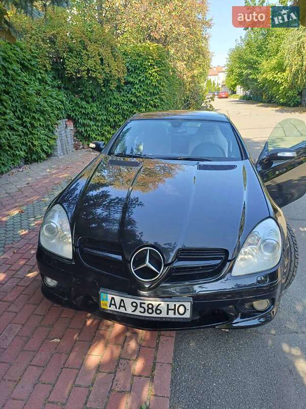 Родстер Mercedes-Benz SLK-Class 2007 в Киеве фото Родстер Mercedes-Benz SLK-Class 2007 в Киеве