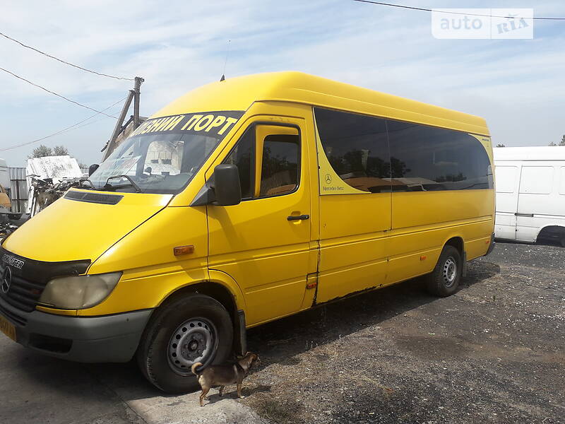 Mercedes-Benz Sprinter 313 пасс.