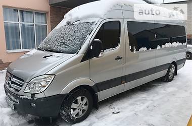 Микроавтобус Mercedes-Benz Sprinter 2009 в 