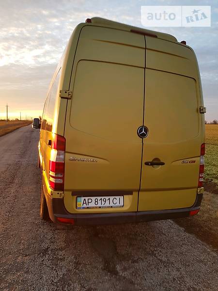 Микроавтобус Mercedes-Benz Sprinter 2006 в Запорожье