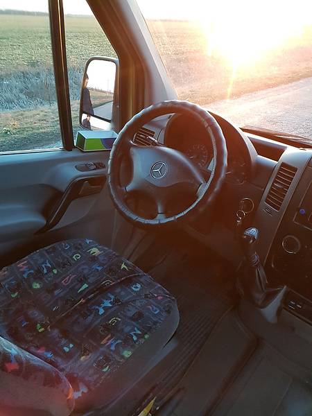 Микроавтобус Mercedes-Benz Sprinter 2006 в Запорожье