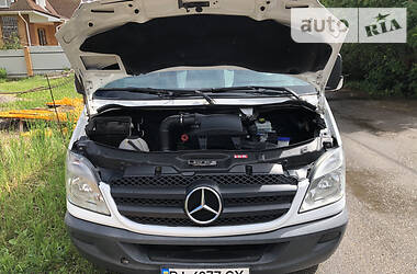 Микроавтобус Mercedes-Benz Sprinter 2010 в 