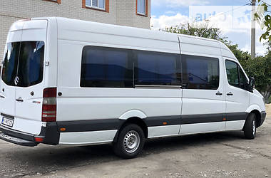 Микроавтобус Mercedes-Benz Sprinter 2010 в 