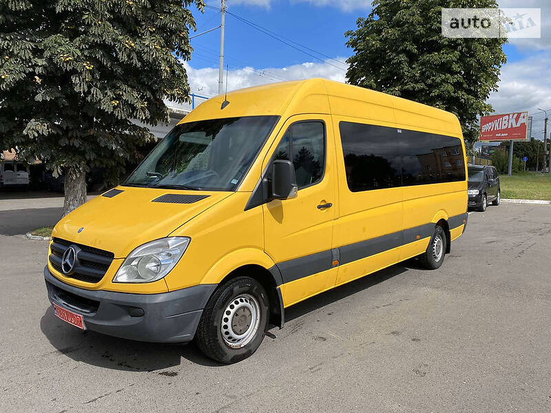 Микроавтобус Mercedes-Benz Sprinter 2010 в 